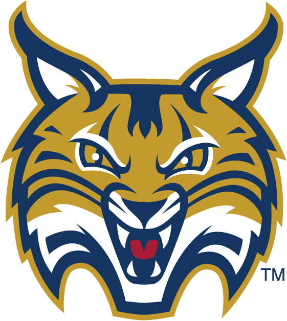 Quinnipiac Bobcats 2002-Pres Secondary Logo iron on transfers for fabric